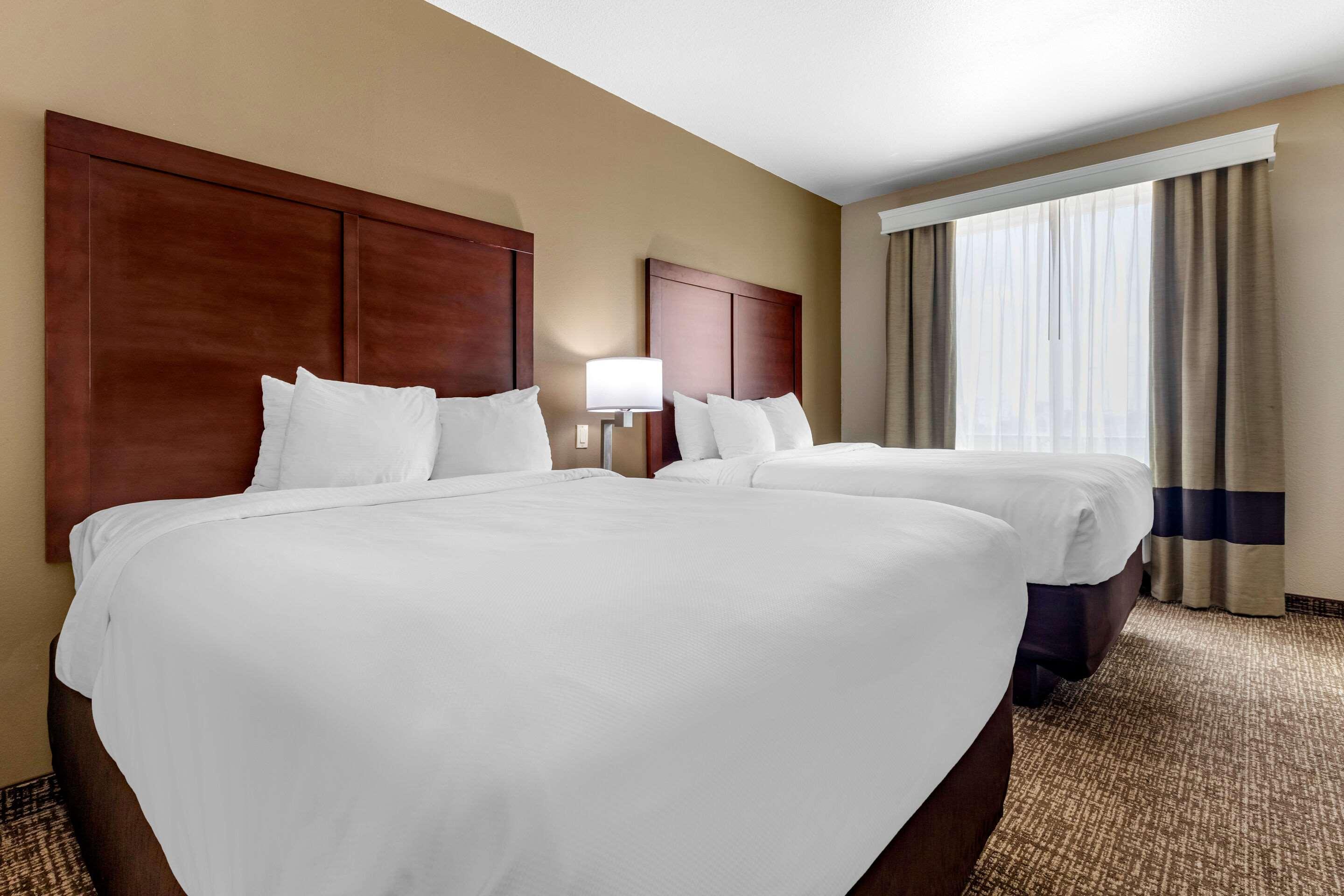 Comfort Inn & Suites Near Lake Lewisville Corinth Eksteriør billede